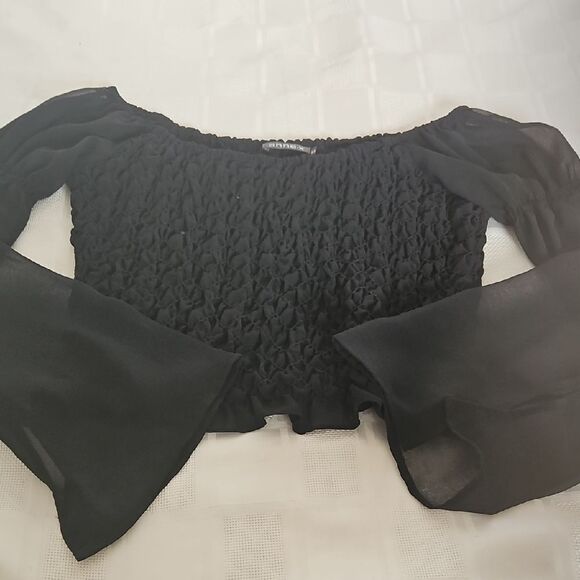 Elegant Black Smocked Sheer Long Sleeve Blouse - Picture 14 of 16